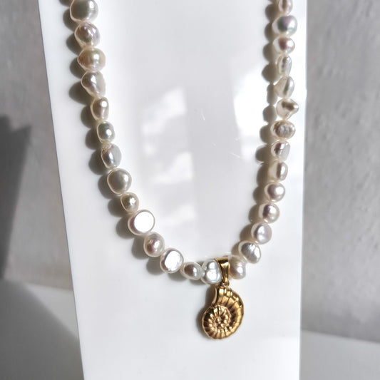 Gold seashell necklace